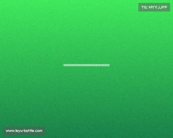 海登海表现出色，德甲赛季表现稳定根廷竞赛俱乐部首度捧起南美杯冠军